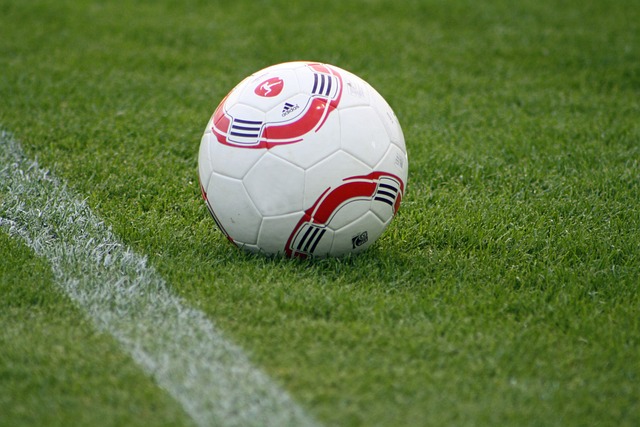 却充斥着为 却充斥着为