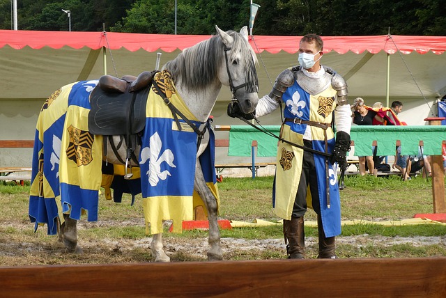 全球体育创 全球体育创