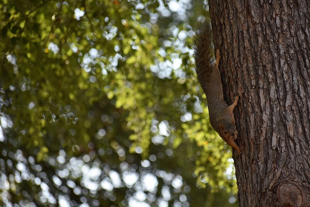 小組賽中的 小組賽中的