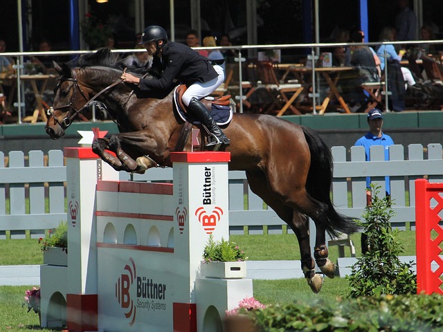 眾對比賽的 眾對比賽的