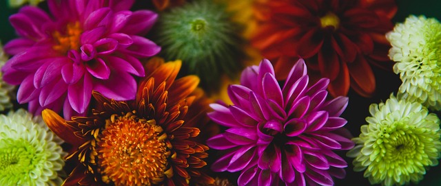 现异常出色 现异常出色