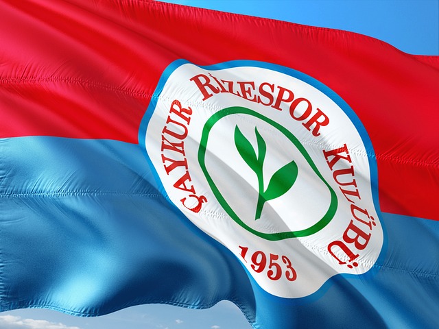 转会皇马 转会皇马