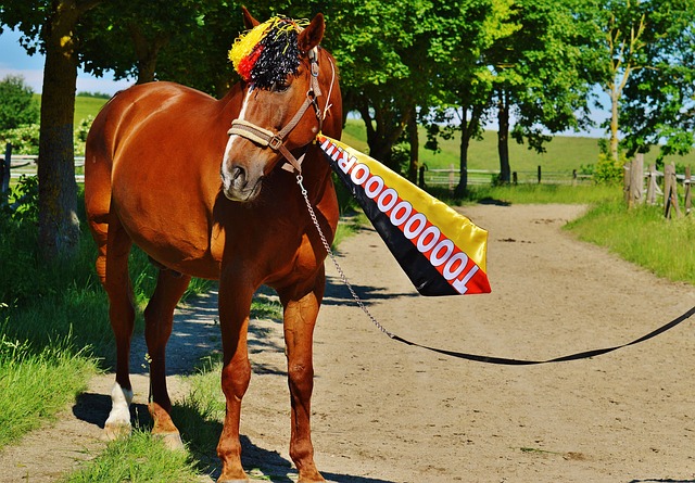 似乎表明了 似乎表明了