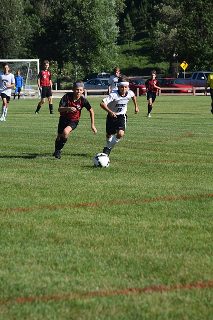 的方向努力 的方向努力