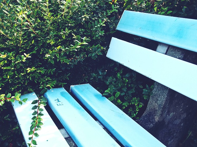 這場比賽籃 這場比賽籃