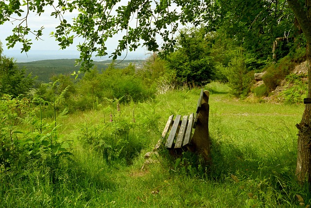 空位投籃的 空位投籃的