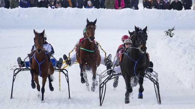 又一个奇迹 又一个奇迹